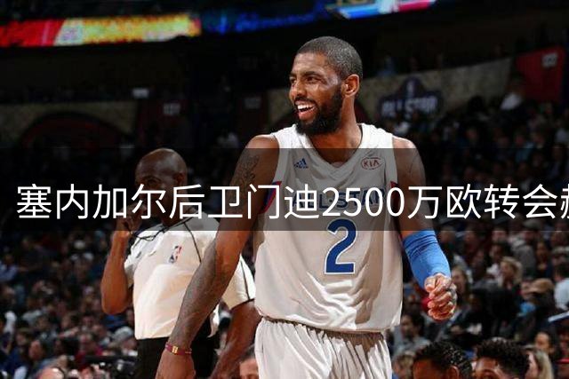 塞内加尔后卫门迪2500万欧转会赫尔城