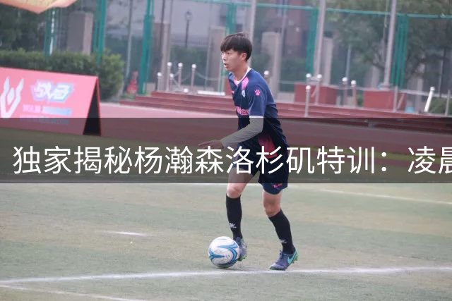独家揭秘杨瀚森洛杉矶特训：凌晨7点开练 高强度训练内容曝光
