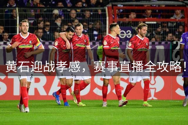黄石迎战孝感，赛事直播全攻略！